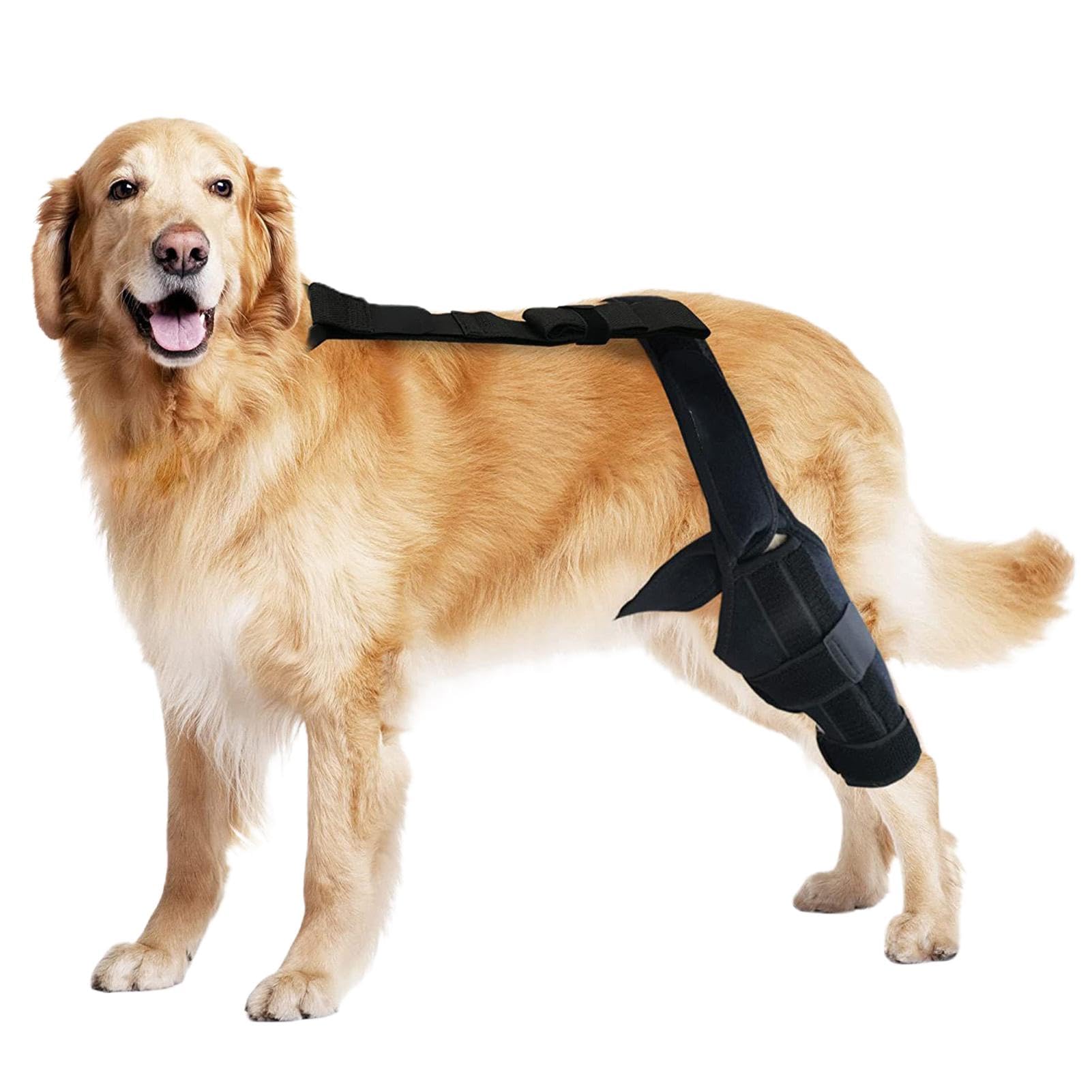 Amazon | 犬用膝サポートブレース、犬用ACL膝用ブレース, 犬の前十字